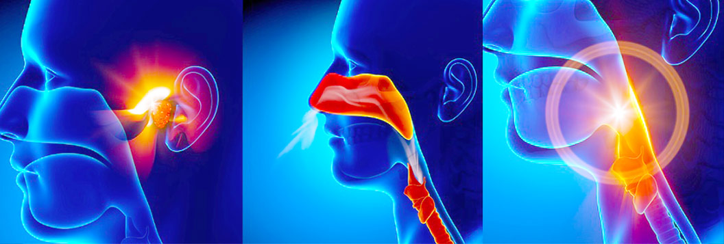 osce otorhinolaryngology ENT گوش، حلق و بینی